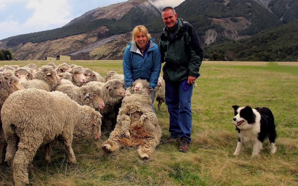 sheep farms to visit